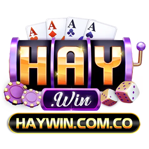 haywin.com.co